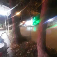 واگذاری مرغ فروشی با تجهیزات|فروشگاه و مغازه|بجنورد, |دیوار