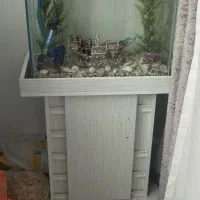 اکواریوم کاملا نو