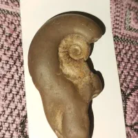 سنگ قیمتی چند هزار ساله