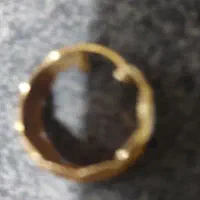 گوشواره گمشده