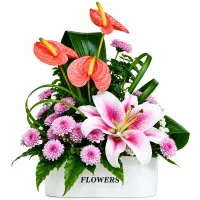 باکس گل نباتی لیلیوم وآنتریوم