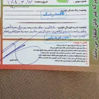 پارس سال