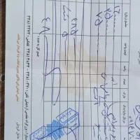 ریوبیرنگ .فروش فوری|خودرو سواری و وانت|اردبیل, |دیوار