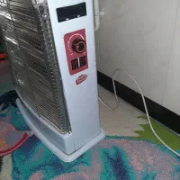 بخاری.هیتر
