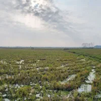 فروش-زمین-مزرعه-روستای-شیلان