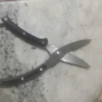 قیچی  هرس درختان وحلب بری همه کاره