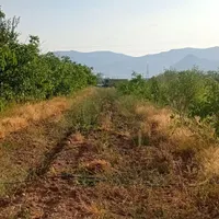 باغ ۳۰۰۰متری لب اتوبان زنجان تهران سندتکبرگ|فروش دفتر صنعتی، کشاورزی، تجاری|تهران, فرودگاه مهرآباد|دیوار