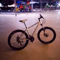 دوچرخه دنده ای اوژن