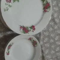 بشقاب گل سرخی