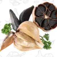 فروش گاز و لباسشویی