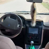 405 انتیک|خودرو کلاسیک|خرم‌آباد, |دیوار