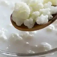 کفیر