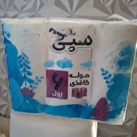 فروش  عمده  دستمال کاغذی وشویینده