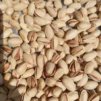 پسته خشک تازه دامغان(درجه یک)