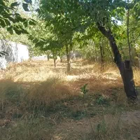 باغ فشند|فروش خانه و ویلا|هشتگرد, فشند|دیوار