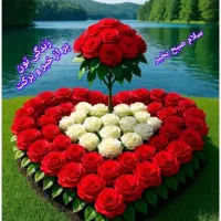 راهنمایی کنید لطفا