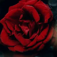 تدریس کلیه دروس ابتدایی