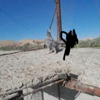 قیمت یک تومان مقطوع