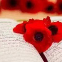 سرکتاب رایگان