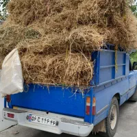 یونجه دسچین|خدمات باغبانی و درختکاری|رشت, عینک|دیوار
