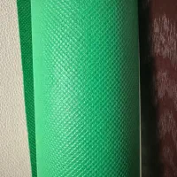فون عکاسی سبز کروماکی‌لند، سایز ۱۵۰×۲۵۰