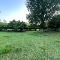 1000-متری-کلا-مسکونی