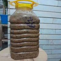 ترشیجات مهدی|خوردنی و آشامیدنی|اصفهان, ابر|دیوار