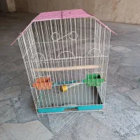قفس مخصوص مینا و قناری، عروس هلندی