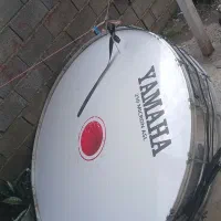 یک عدد تبل بزرگ و سالم