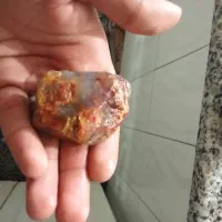شجر دریای خاص|جواهرات|تهران, افسریه جنوبی|دیوار
