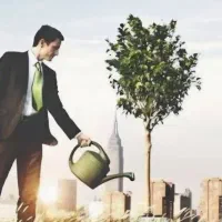 تراپی کسب و کار بینو رشد تضمینی