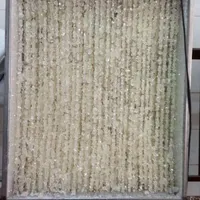 نبات شاخه و نی دار|فروشگاه و مغازه|شهرکرد, |دیوار