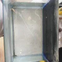 فروش آکواریوم به همراه لوازم|ماهی|تهران, مینای شمالی (مخبر)|دیوار