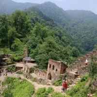 طبیعت گردی