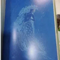 کتاب نفیس رنج و رنگ استاد بهزاد نسخه اصلی|کتاب و مجله تاریخی|تهران, شهرک غرب|دیوار