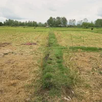 کدپرش/زمین مسکونی+کشاورزی بیجاربرنج۲۱هزارمترسنگر|فروش زمین و ملک کلنگی|کوچصفهان, |دیوار
