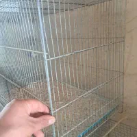 قفس بزرگ قناری ومرغ عشق و...