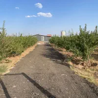 فروش-باغچه-های-500متری-450میلیون