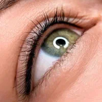 تخفیف ویژه شیدینگ لب  و بن مژه چشم|خدمات آرایشگری و زیبایی|بوشهر, |دیوار