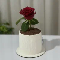 کیک مناسبتی روز زن و روز مادر