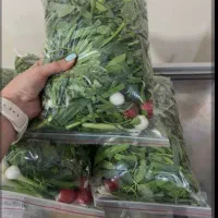 بسته بندی سبزی در منزل خانم