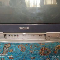 تلویزیون قدیمی اسنوا|تلویزیون و پروژکتور|مشهد, پروین اعتصامی|دیوار