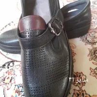 کفش زنانه|کیف، کفش، کمربند|تهران, شارق|دیوار