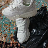 کتونی لژدار|کیف، کفش، کمربند|پرند, فاز ۵|دیوار