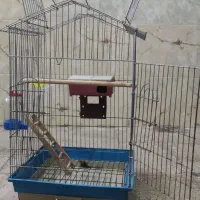 قفس بزرگ پرنده|لوازم جانبی حیوانات|مریوان, |دیوار