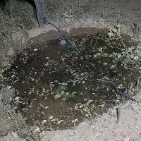 1000متر زمین کشاورزی|فروش زمین و ملک کلنگی|شاهینشهر, بوستان حافظ|دیوار