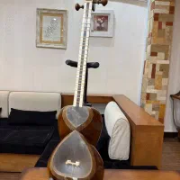 تار حرفه ای
