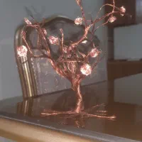 درختچه دکوری مسی