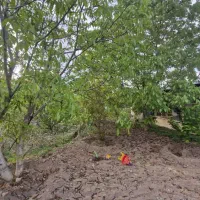 باغ ویلا خانه|فروش خانه و ویلا|گرمدره, |دیوار