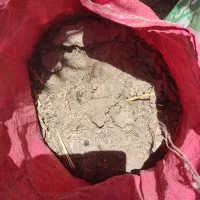 فروش کود مرغی بسته بندی شده